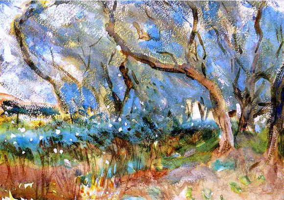  John Singer Sargent Landscape 1909 Corfu - Canvas Art Print