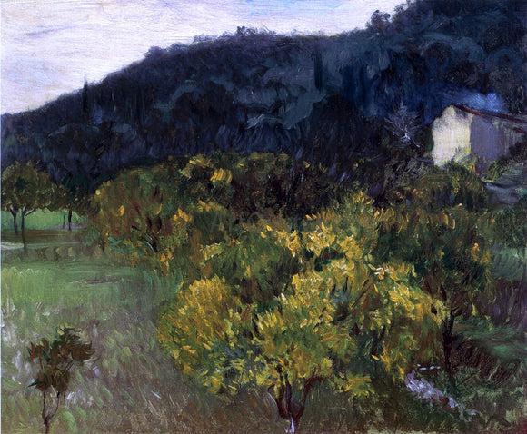  John Singer Sargent Landscape near Grasse - Canvas Art Print