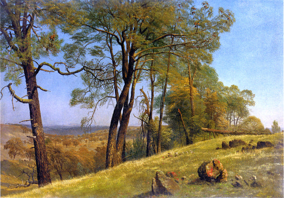 Albert Bierstadt Landscape, Rockland County, California - Canvas Art Print
