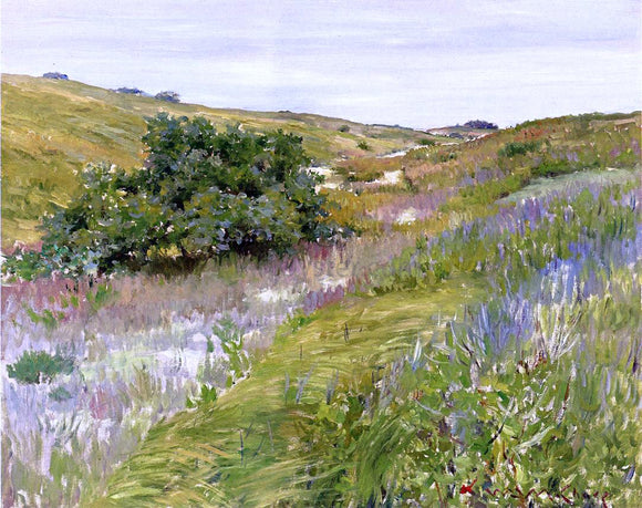  William Merritt Chase Landscape, Shinnecock Hills - Canvas Art Print