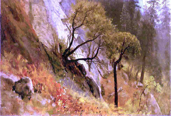  Albert Bierstadt Landscape Study: Yosemite, California - Canvas Art Print