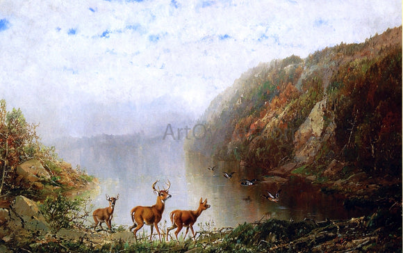  Herman Herzog Landscape with Deer and Ducks - Canvas Art Print