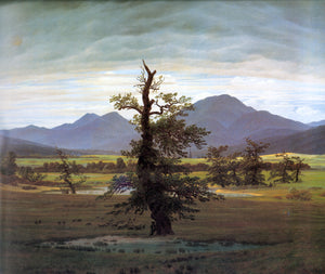  Caspar David Friedrich Landscape with Solitary Tree - Canvas Art Print