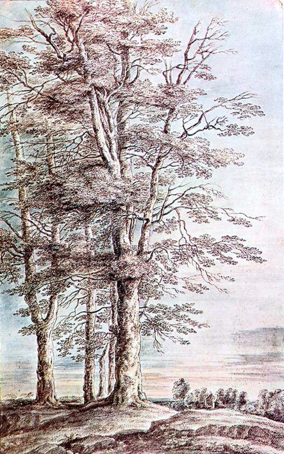  Lucas Van Uden Landscape with Tall Trees - Canvas Art Print