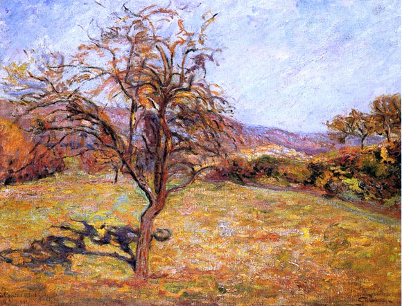  Armand Guillaumin Landscape with Tree - Canvas Art Print