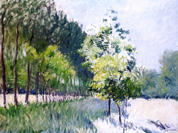 Gustave Caillebotte Lane Bordered by Trees - Canvas Art Print
