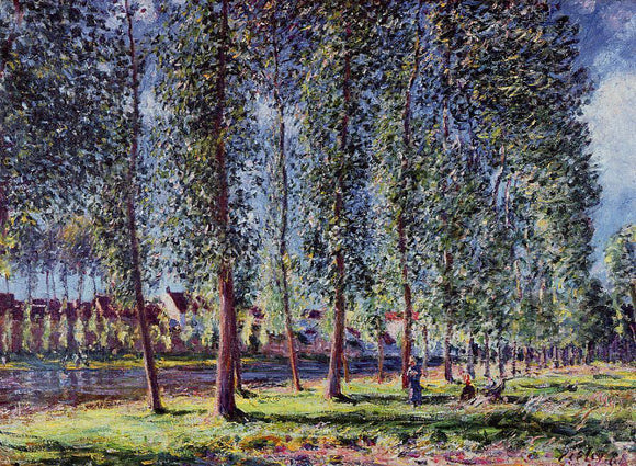  Alfred Sisley Lane of Poplars at Moret - Canvas Art Print
