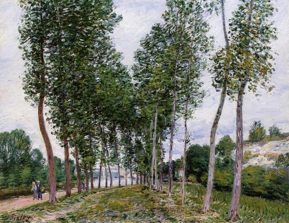  Alfred Sisley Lane of Poplars on the Banks of the Loing - Canvas Art Print