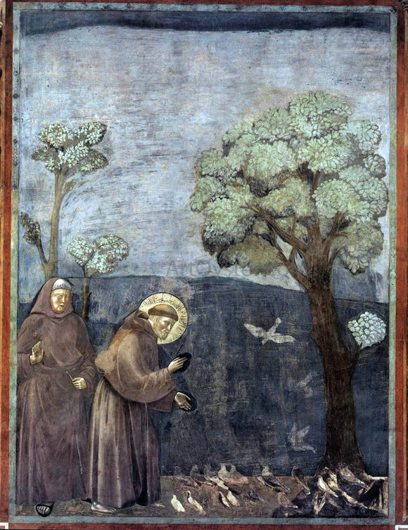  Giotto Di Bondone Legend of St Francis: 15. Sermon to the Birds (Upper Church, San Francesco, Assisi) - Canvas Art Print