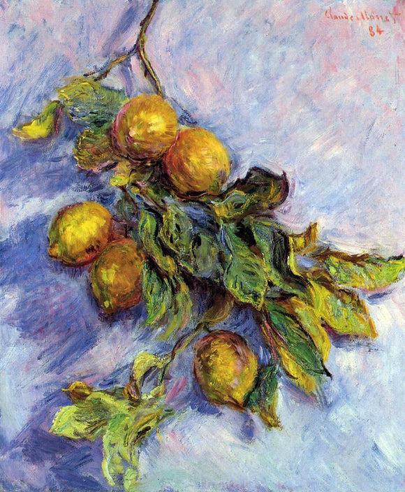  Claude Oscar Monet Lemons on a Branch - Canvas Art Print