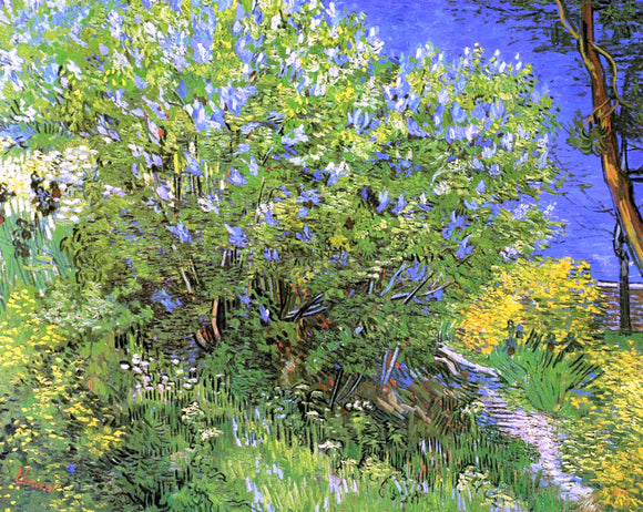  Vincent Van Gogh Lilacs - Canvas Art Print