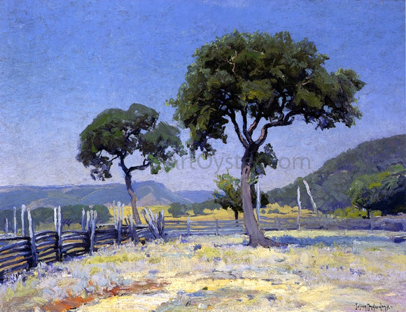  Julian Onderdonk Live Oak Trees On Williams' Ranch, Bandera County - Canvas Art Print