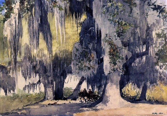  Winslow Homer Live Oaks - Canvas Art Print