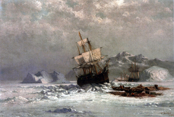  William Bradford Locked in Ice - Canvas Art Print