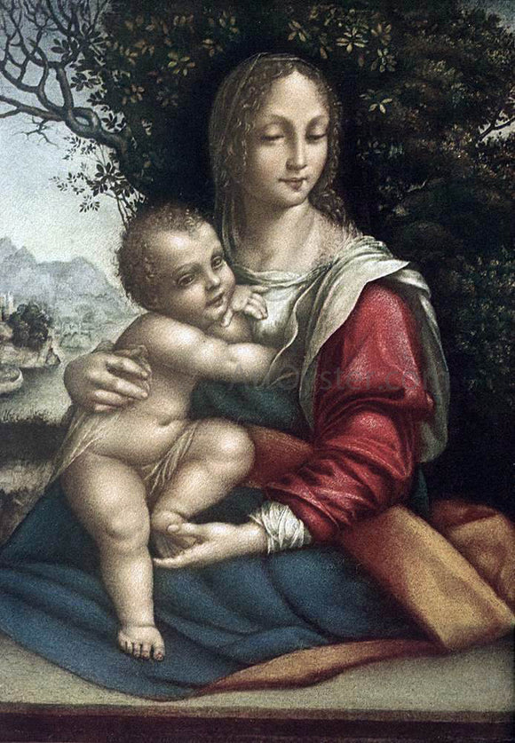  Cesare Da Sesto Madonna and Child - Canvas Art Print