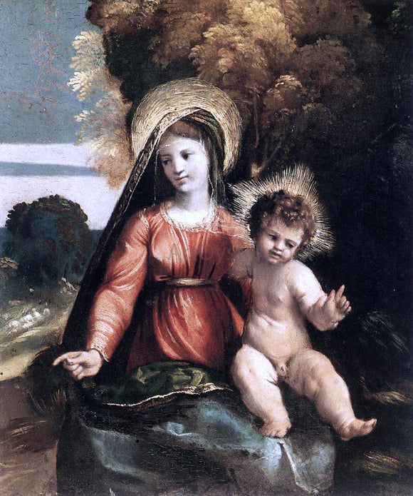  Dosso Dossi Madonna and Child - Canvas Art Print