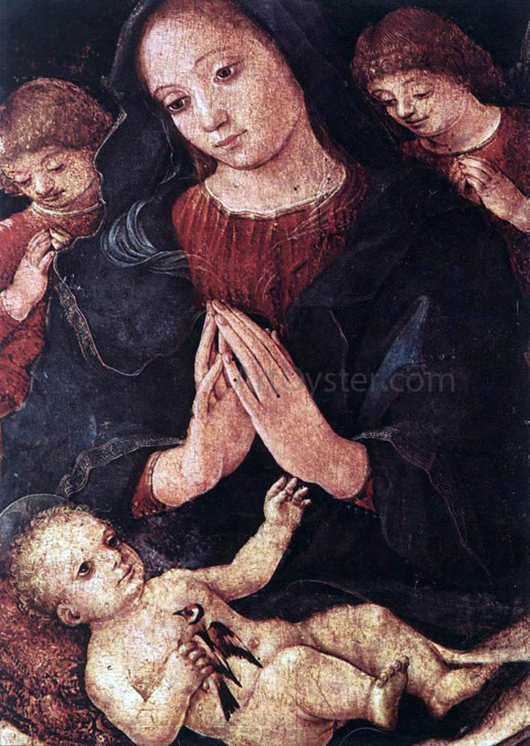  Liberale Da Verona Madonna del Cardellino - Canvas Art Print