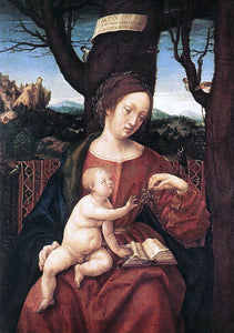  Hans Burgkmair Madonna with Grape - Canvas Art Print
