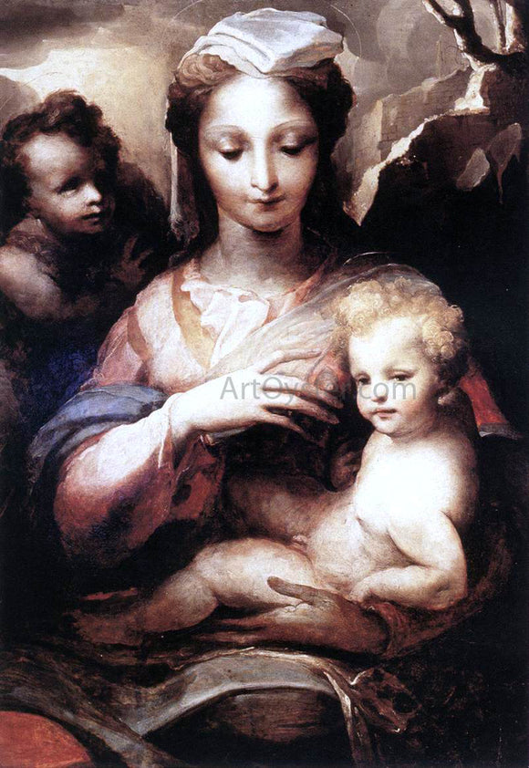  Domenico Beccafumi Madonna with the Infant Christ and St John the Baptist - Canvas Art Print