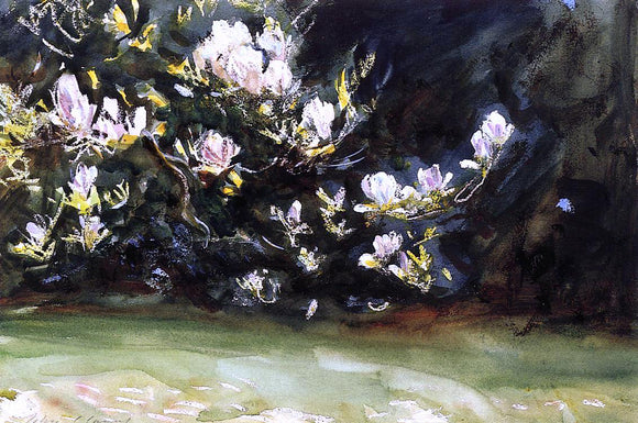  John Singer Sargent Magnolias - Canvas Art Print