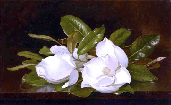  Martin Johnson Heade Magnolias on a Wooden Table - Canvas Art Print