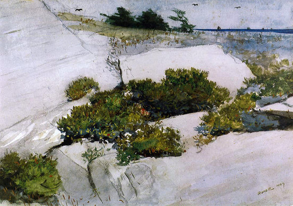  Winslow Homer Maine Cliffs - Canvas Art Print