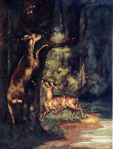  Gustave Courbet Male and Female Deer in the Woods - Canvas Art Print
