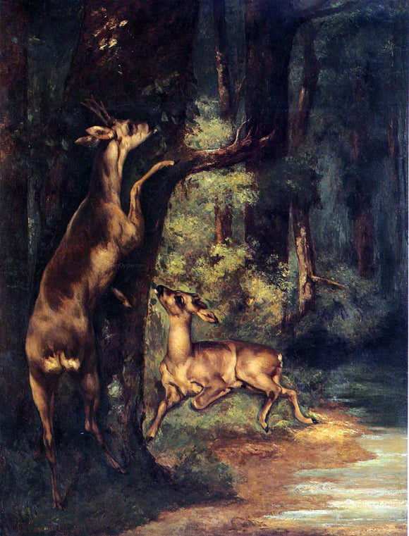  Gustave Courbet Male and Female Deer in the Woods - Canvas Art Print