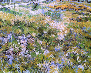  Vincent Van Gogh Meadow in the Garden of Saint-Paul Hospital - Canvas Art Print