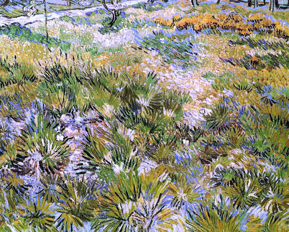  Vincent Van Gogh Meadow in the Garden of Saint-Paul Hospital - Canvas Art Print