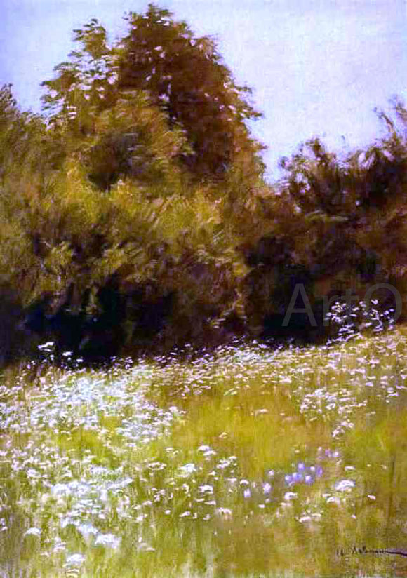  Isaac Ilich Levitan Meadow on the Edge of a Forest - Canvas Art Print