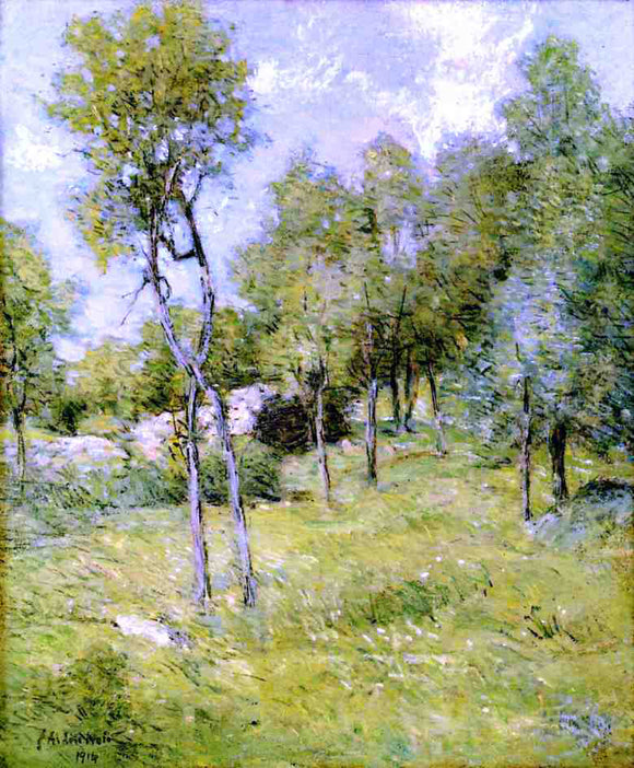  Julian Alden Weir Midsummer Landscape - Canvas Art Print