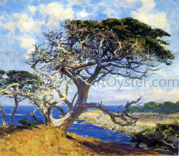  Guy Orlando Rose Monterey Cypress - Canvas Art Print