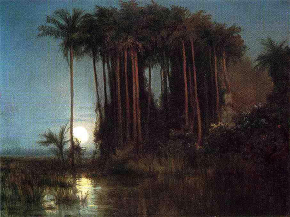  Louis Remy Mignot Moonlight over a Marsh in Ecuador - Canvas Art Print