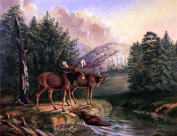  II Titian Ramsey Peale Moose in Maine - Canvas Art Print