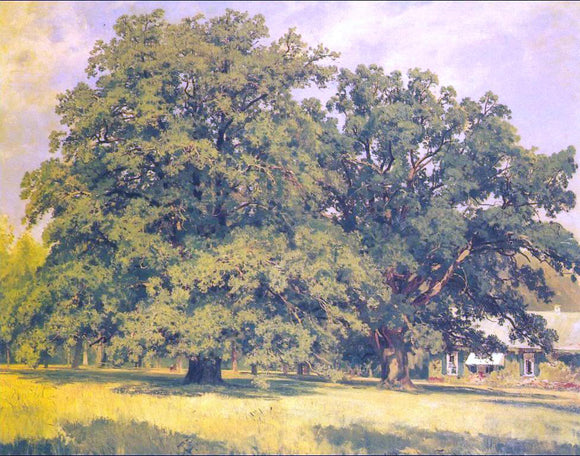  Ivan Ivanovich Shishkin Mordvinov's oaks - Canvas Art Print