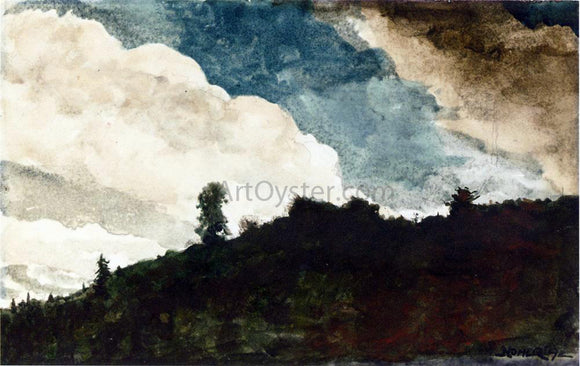  Winslow Homer Morning - the Morning Mist - Canvas Art Print