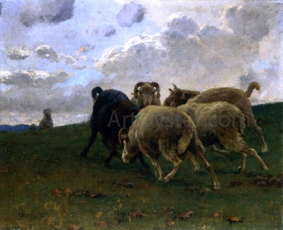  Stafano Bruzzi Mountain Goats - Canvas Art Print