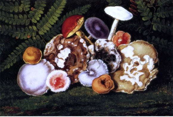  William Aiken Walker Mushrooms - Canvas Art Print
