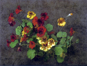  Victoria Dubourg Fantin-Latour Nasturtiums - Canvas Art Print