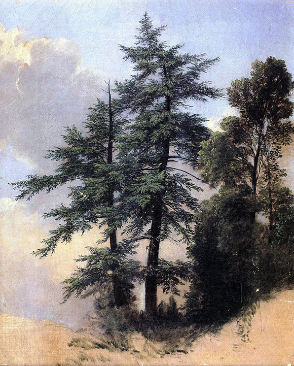  Asher Brown Durand Nature Study, Trees, Newburth, N.Y. - Canvas Art Print