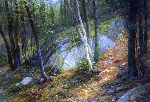  William H Lipincott Nature's Pathway - Canvas Art Print