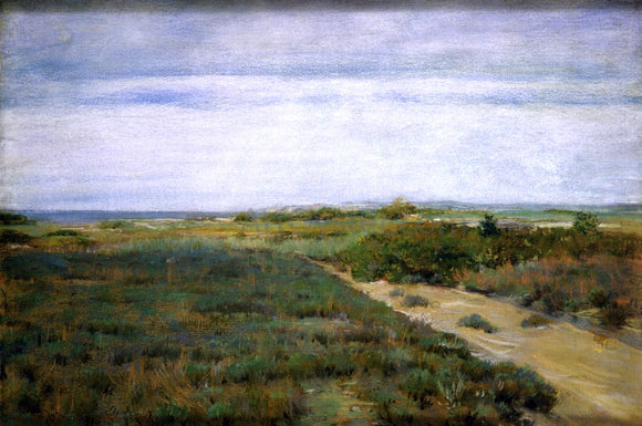  William Merritt Chase Near the Sea (also known as Shinnecock) - Canvas Art Print