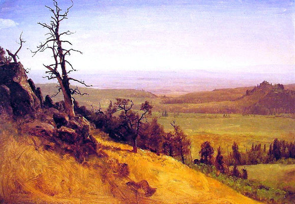  Albert Bierstadt Nebraska Wasatch Mountains - Canvas Art Print