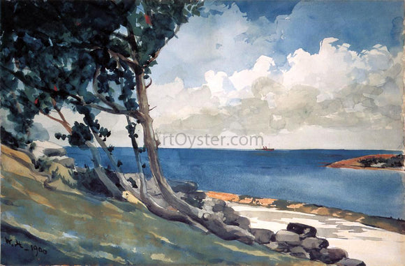  Winslow Homer North Road, Bermuda - Canvas Art Print