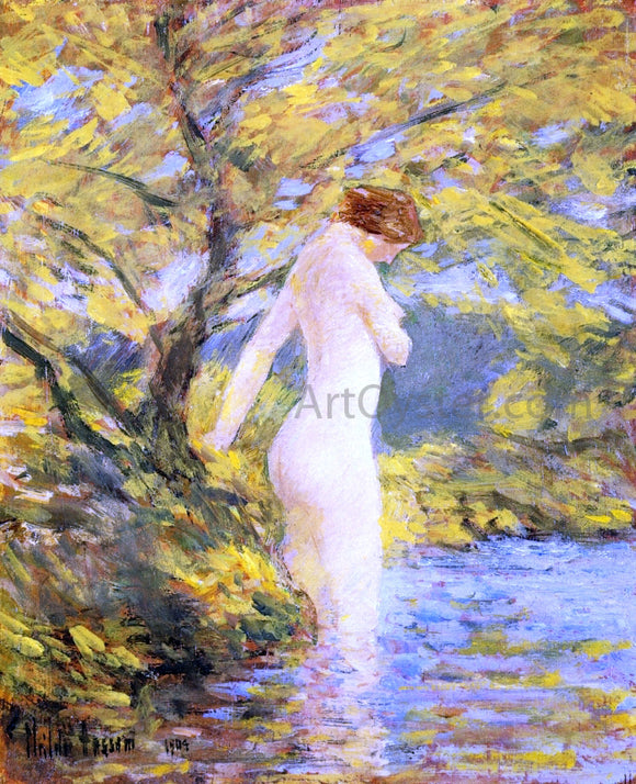  Frederick Childe Hassam A Nymph Bathing - Canvas Art Print