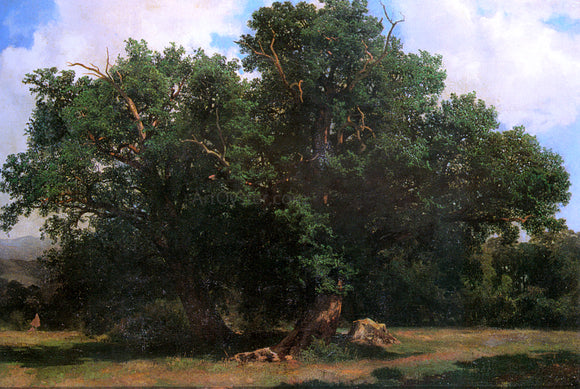 Johannes Bosboom Oak Trees - Canvas Art Print