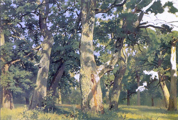  Ivan Ivanovich Shishkin Oaks, Evening (Study for Picture Oak-Wood) - Canvas Art Print