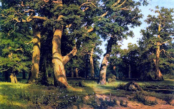  Ivan Ivanovich Shishkin Oak-wood - Canvas Art Print