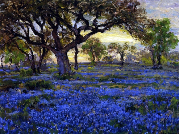  Julian Onderdonk Old Live Oak Tree and Bluebonnets on the West Texas Military Grounds, San Antonio - Canvas Art Print
